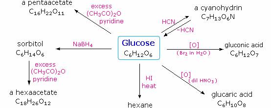 Carbohydrates