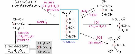 Carbohydrates
