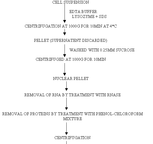 Nucleic Acid Flow Chart