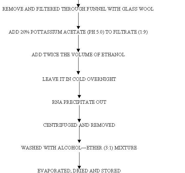 Nucleic Acid Flow Chart