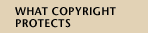 What Copyright Protects